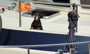 Bottom Paint & Hull Coatings